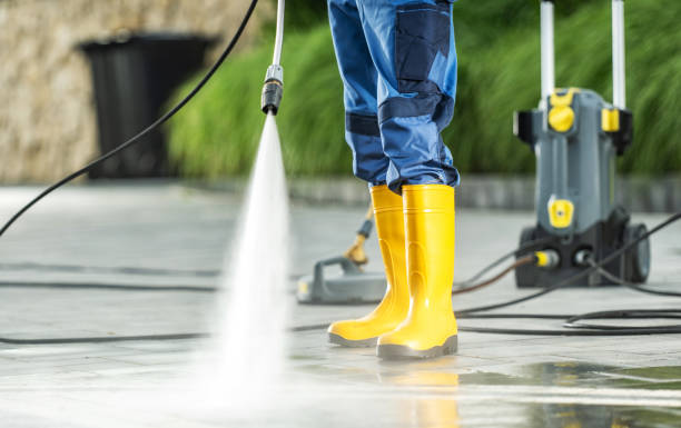 Best Specialty Cleaning in Catalina Foothills, AZ